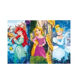 PUZZLE 60 MAXI PRINCESS 1