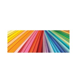 CARTONCINO COLORLINE COLORATO 50X70